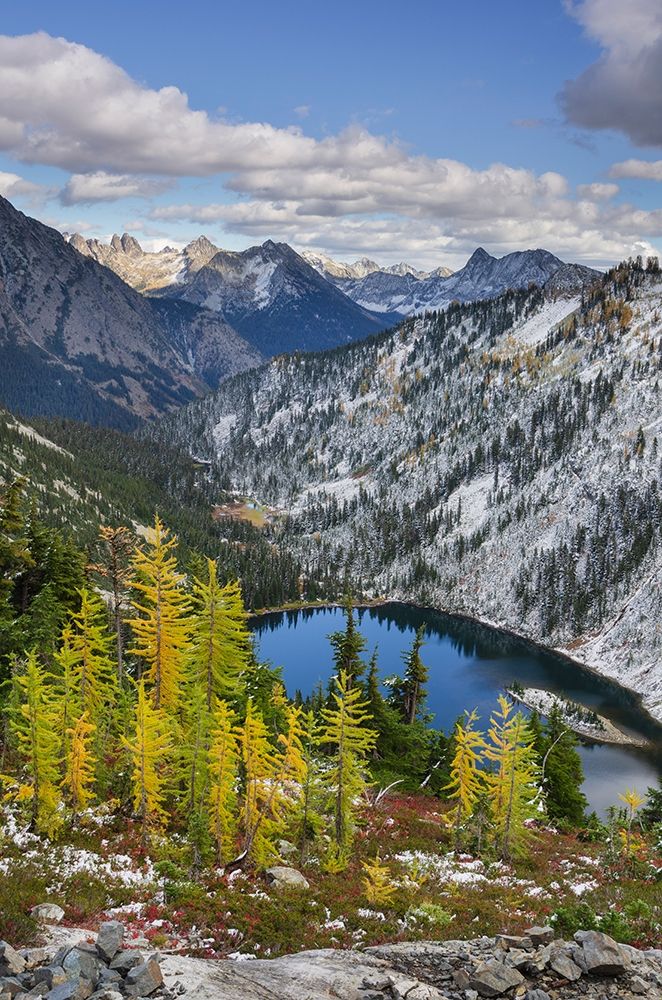 Lake Ann and golden larches after autumn snowfall North Cascades-Washington State art print by Alan Majchrowicz for $57.95 CAD